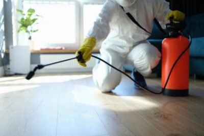 DeAnza Termite & Pest Control